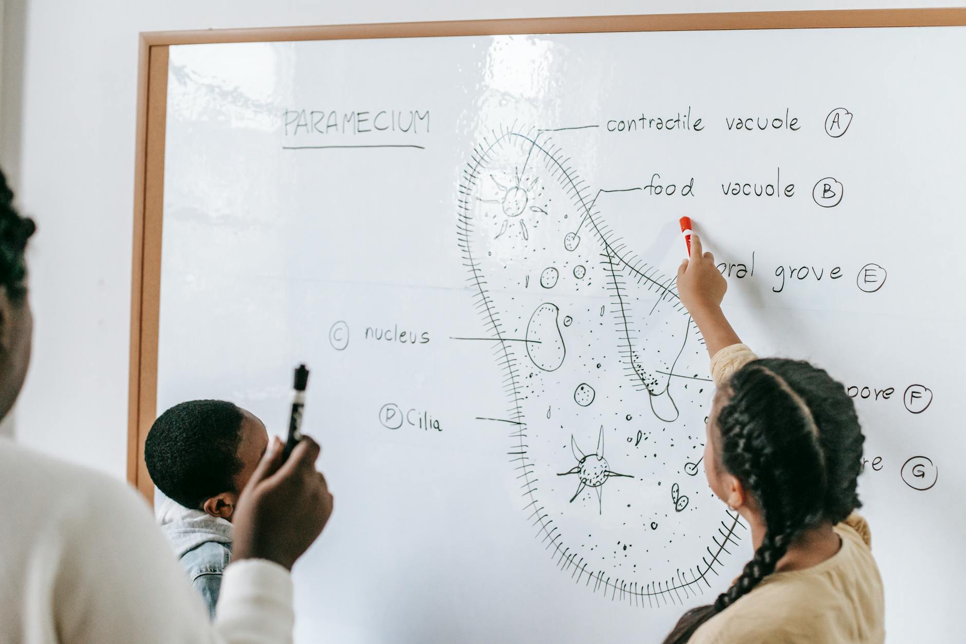 Cara Gila Selamatkan Pengembangan Pendidikan, Nomor 5 Bikin Heboh!